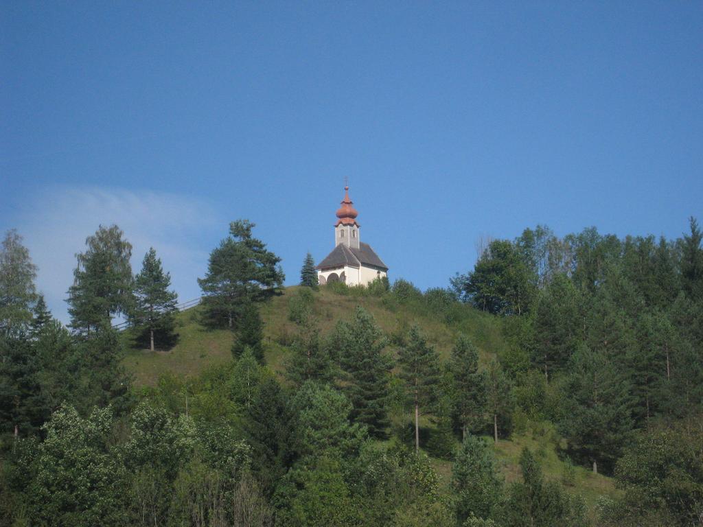Gasthof Zum Niederhaus - Familie Perthold Sankt Aegyd am Neuwalde Dış mekan fotoğraf