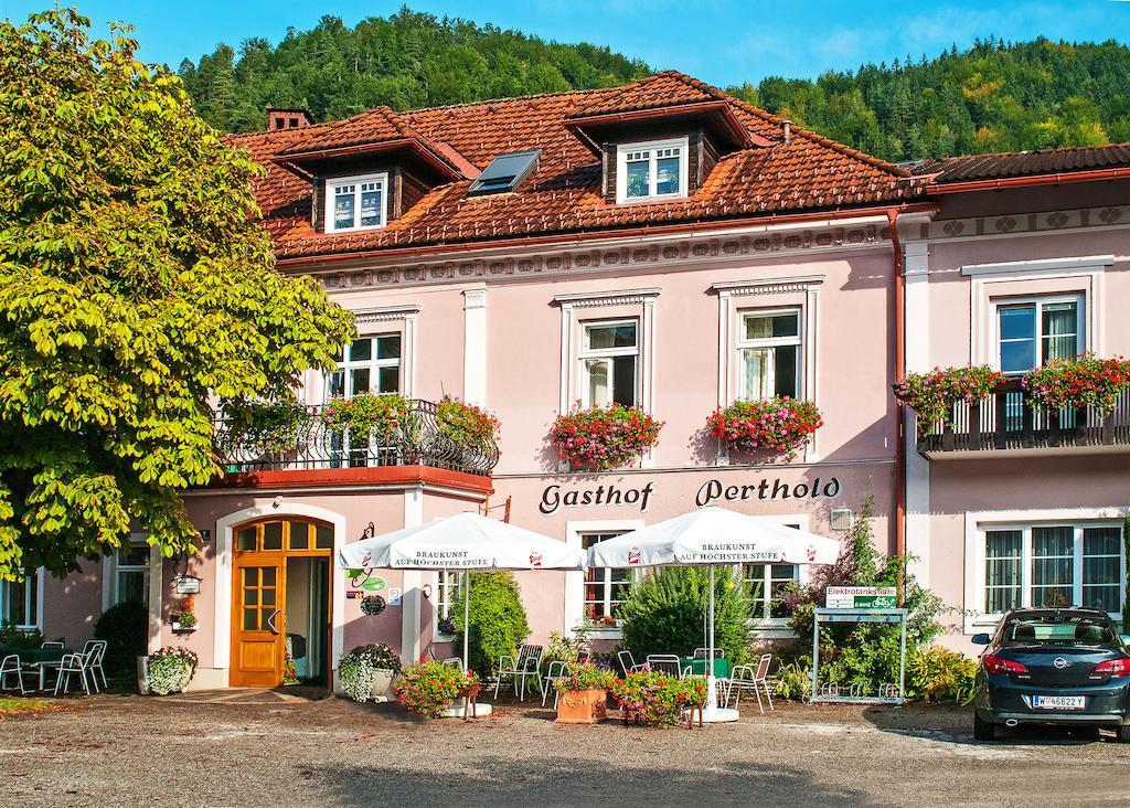 Gasthof Zum Niederhaus - Familie Perthold Sankt Aegyd am Neuwalde Dış mekan fotoğraf