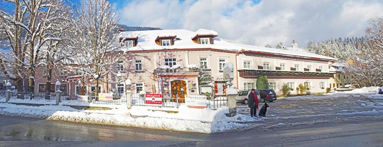 Gasthof Zum Niederhaus - Familie Perthold Sankt Aegyd am Neuwalde Dış mekan fotoğraf