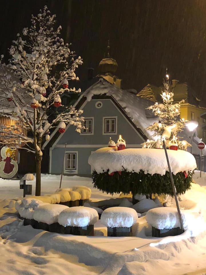 Gasthof Zum Niederhaus - Familie Perthold Sankt Aegyd am Neuwalde Dış mekan fotoğraf