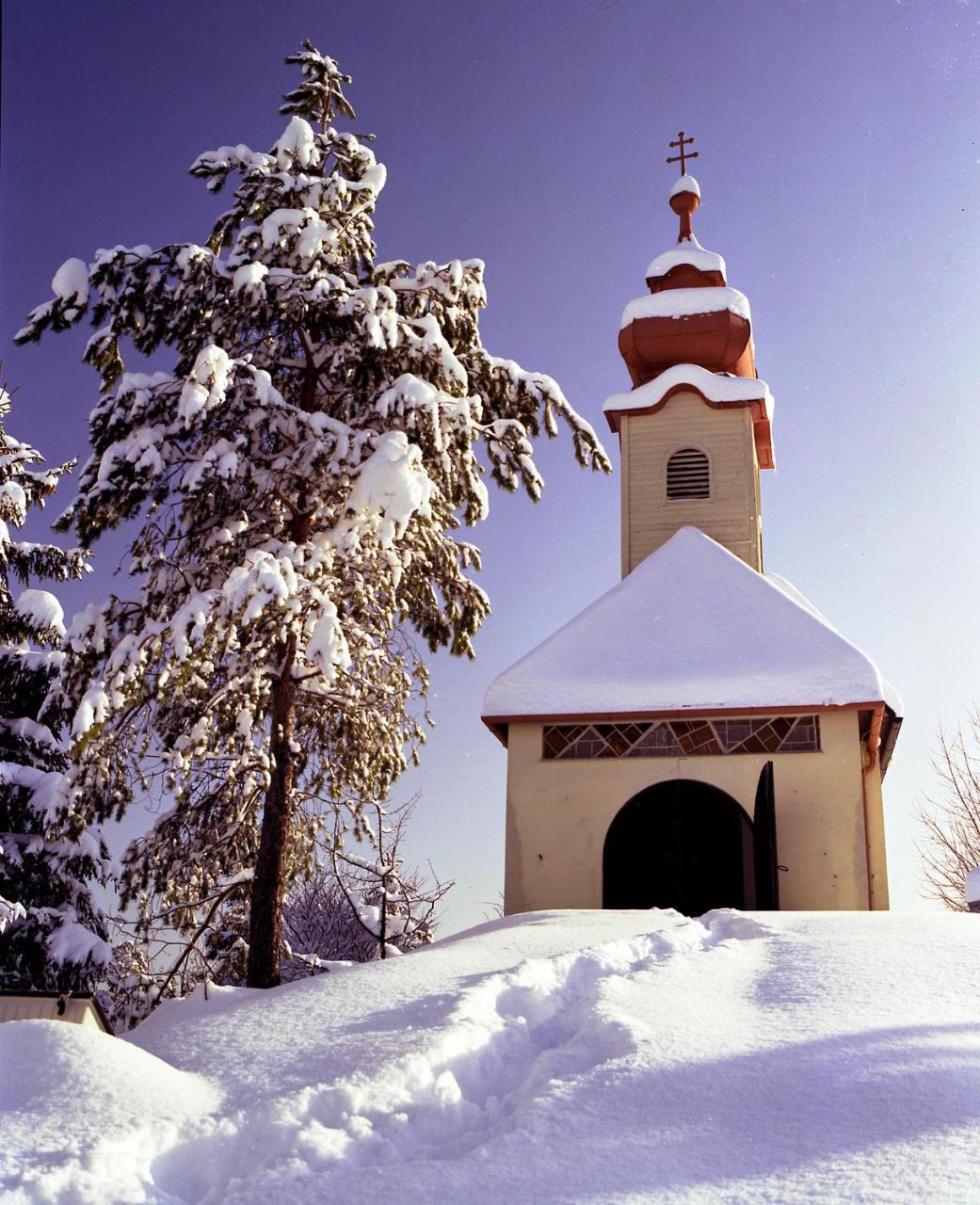 Gasthof Zum Niederhaus - Familie Perthold Sankt Aegyd am Neuwalde Dış mekan fotoğraf