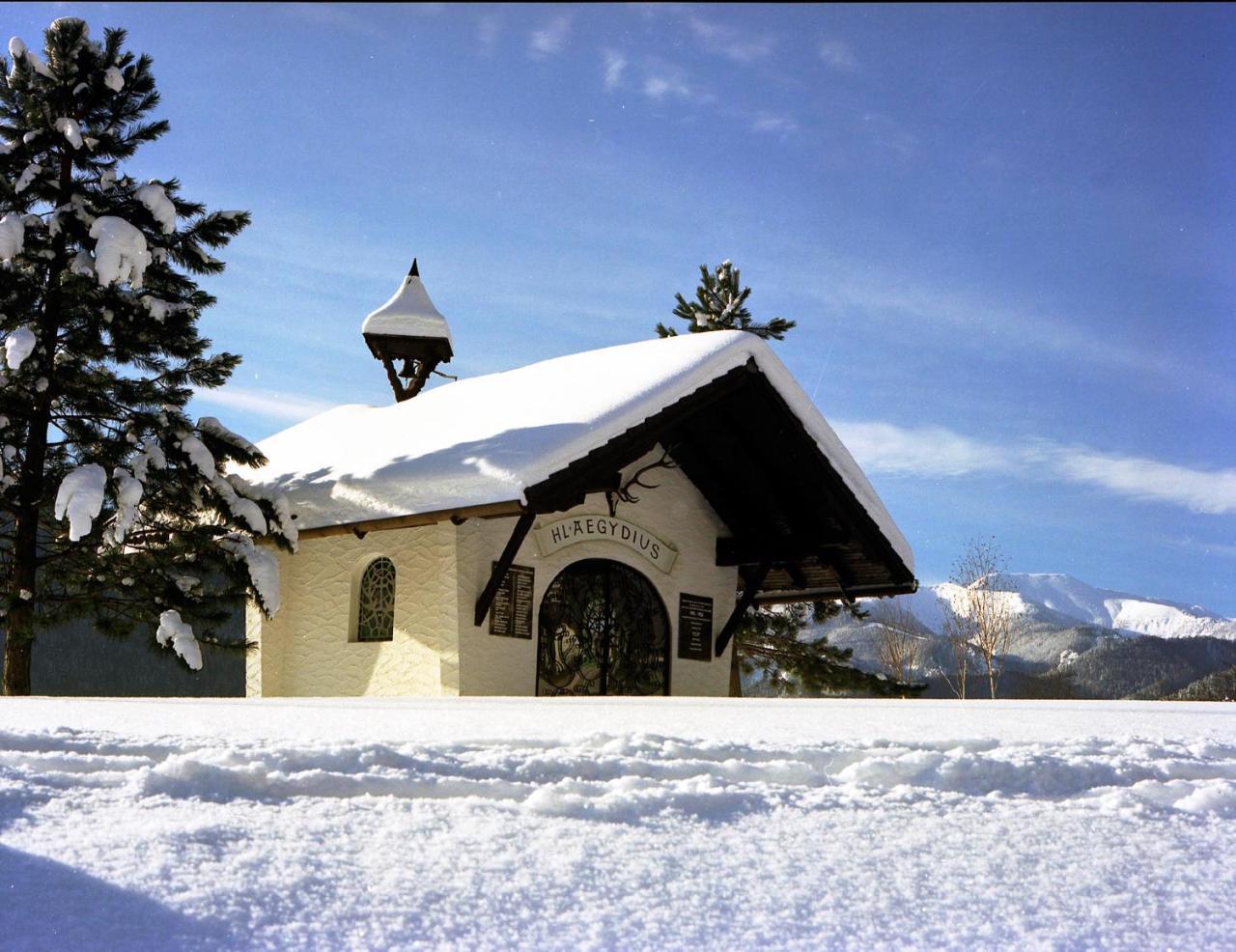 Gasthof Zum Niederhaus - Familie Perthold Sankt Aegyd am Neuwalde Dış mekan fotoğraf